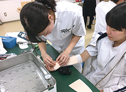 Department of Occupational Therapy