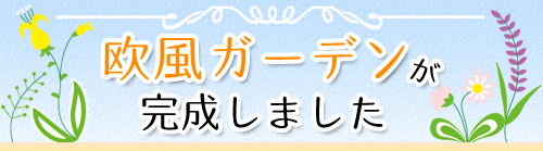 欧風ガーデンが完成しました