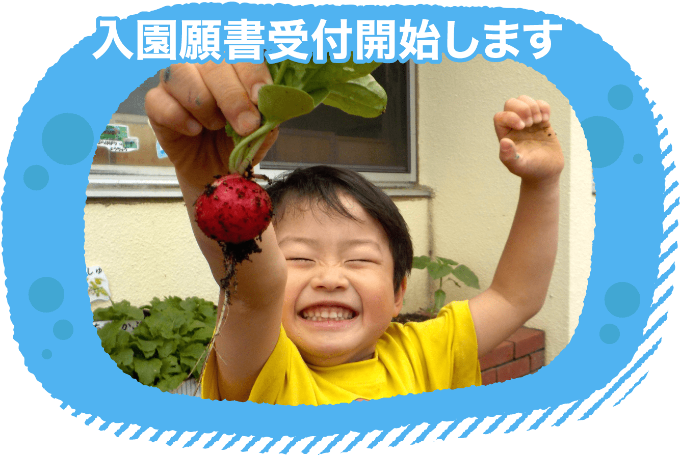 入園願書受付開始します