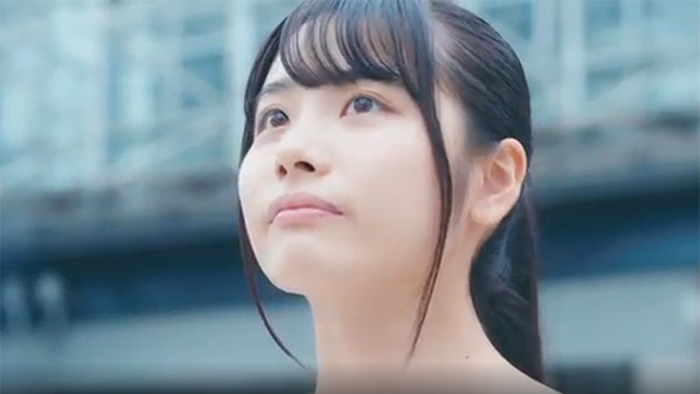 大学 学部及学科构成 金城大学 金城大学短期大学部