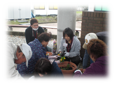 花の苗植えの様子