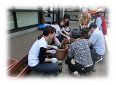 「花の苗植え」