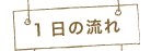 1日の流れ